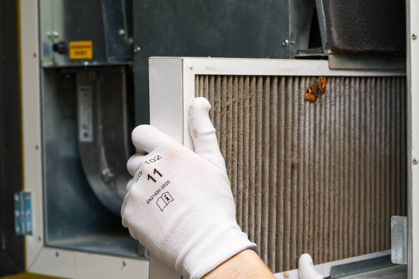 Best Professional Duct Cleaning Services  in Cambridge, WI